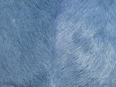 Goat Skin Hide color swatch blue