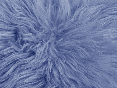 Australian Sheepskin rug color swatch blue